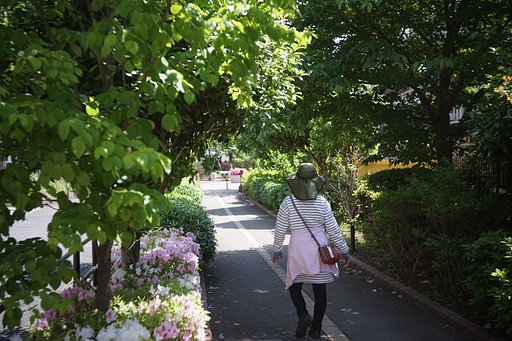 北沢川緑道