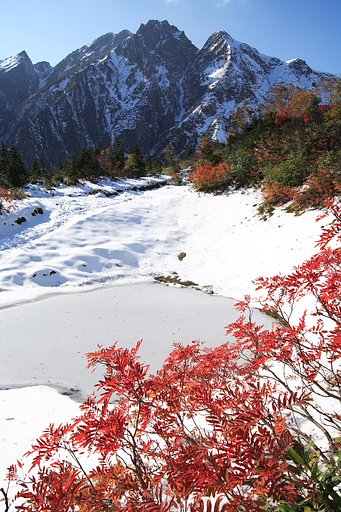 新雪