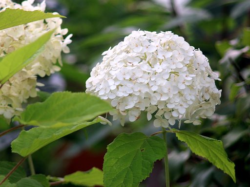 7月3日の写真