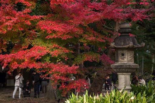 六義園の秋