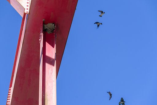 帰りの鉄橋で