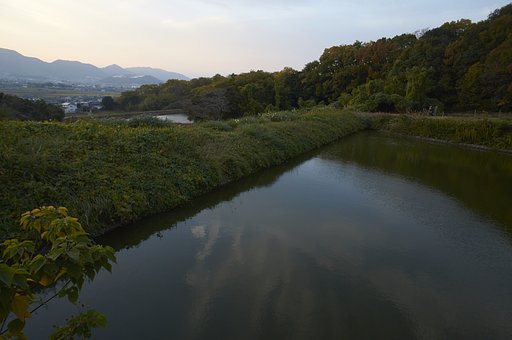 雑記