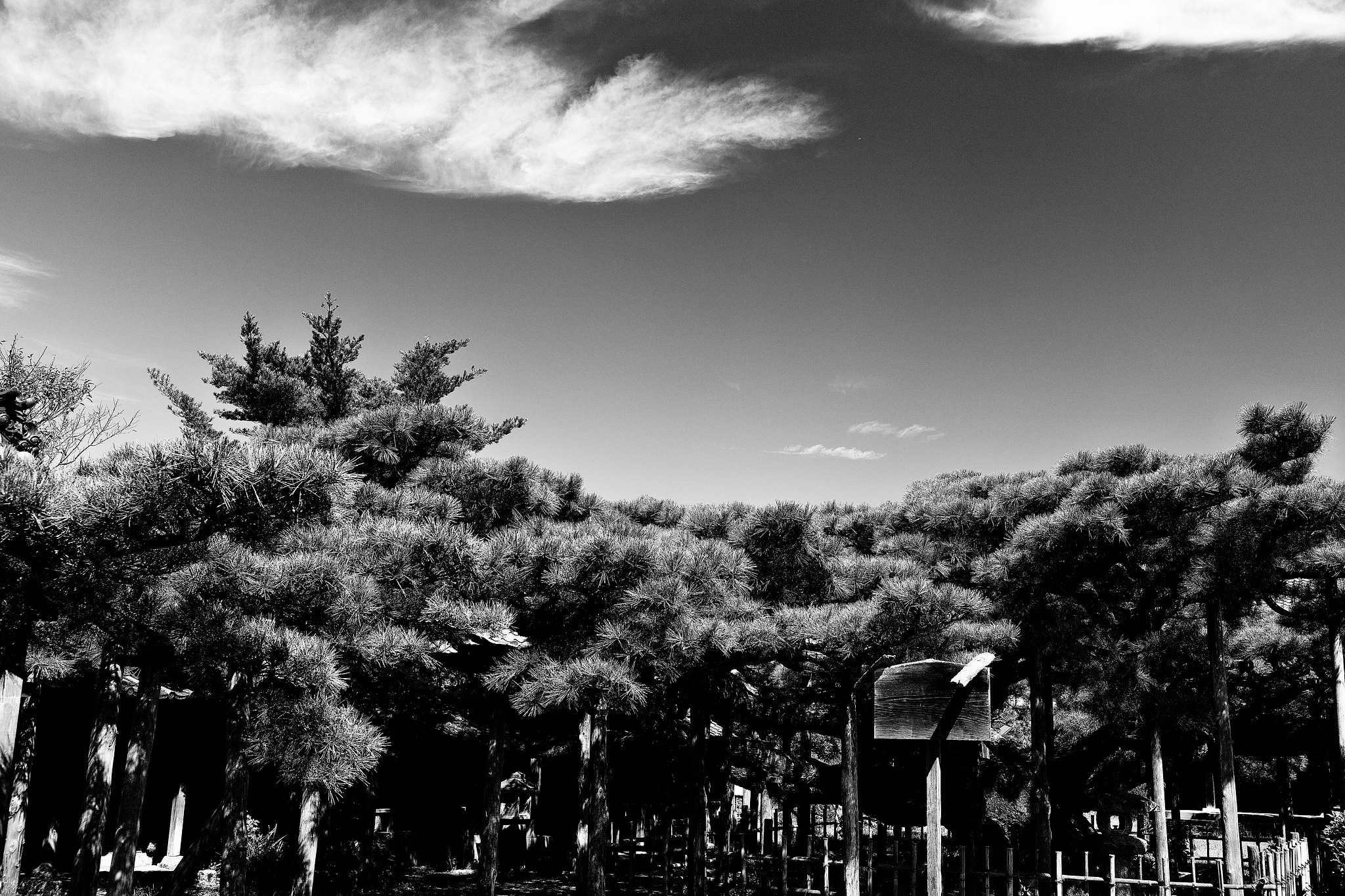 Hard monochrome
