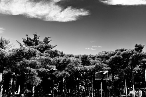 Hard monochrome