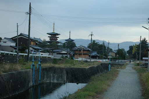 薬師寺雑然