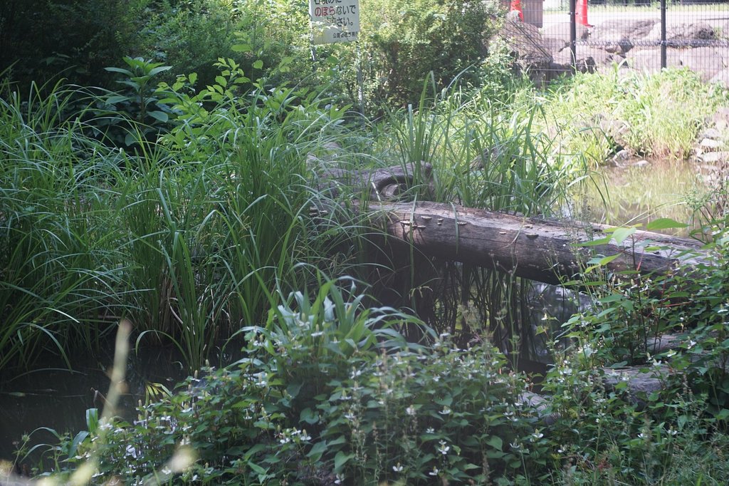 蘆花恒春園にて