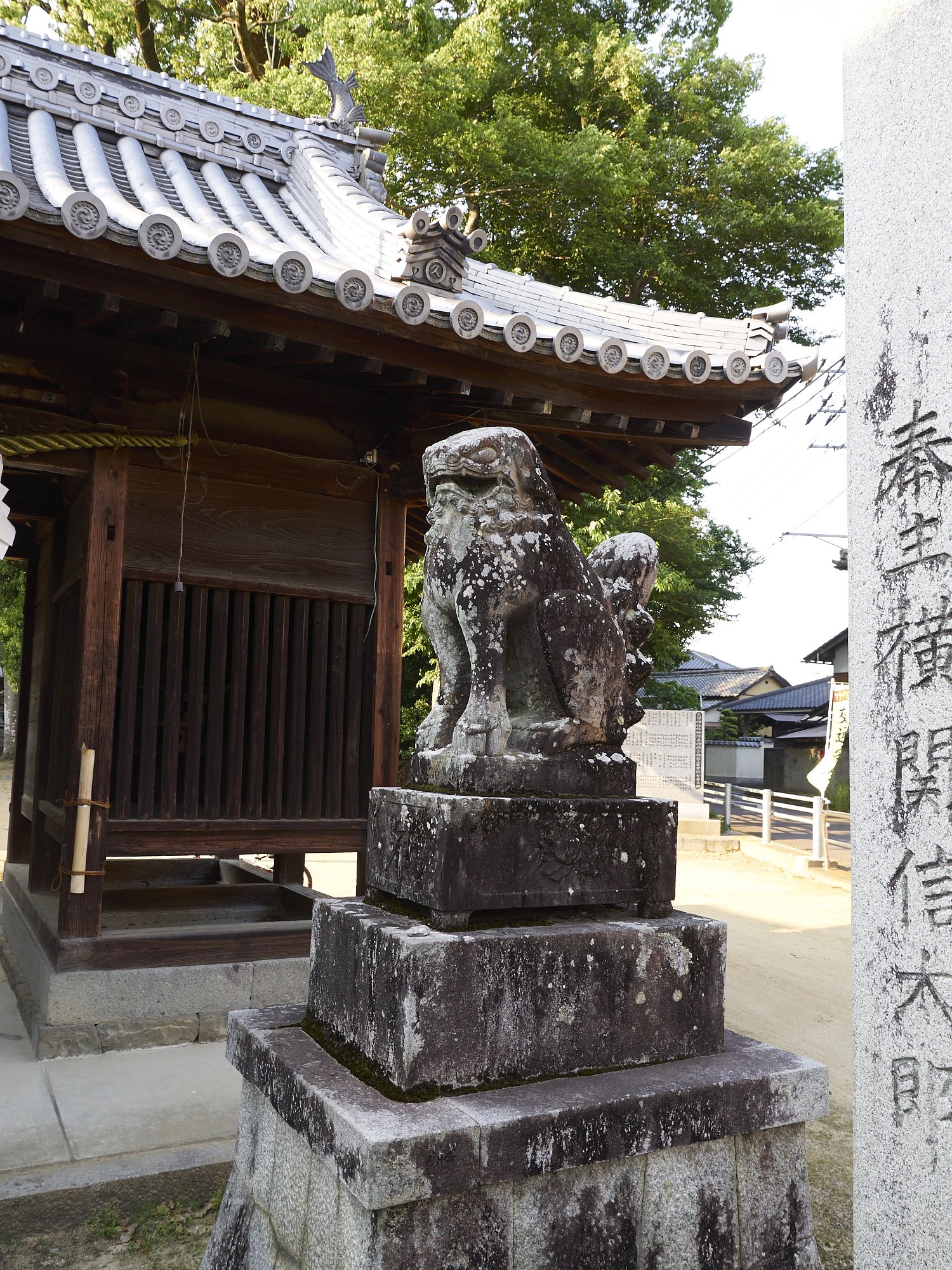 雑感