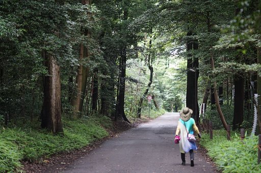 6月7日の写真