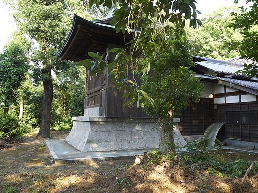 雑感