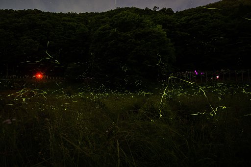 1週間前の今頃