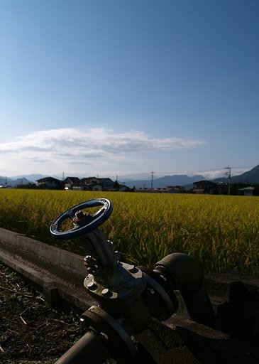 秋の日に　＃１