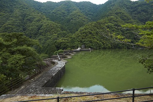 雑感