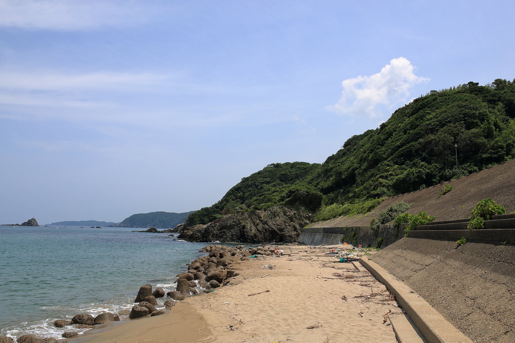 早く来い来い