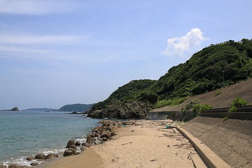 早く来い来い