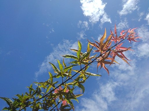 8月14日の写真