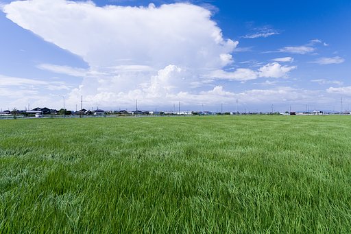 風を撮る_2020夏
