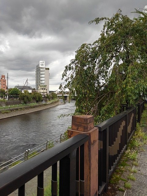 宇都宮の川沿いの歩道からの景色