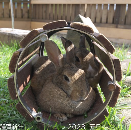 謹賀新年