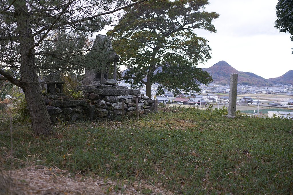 雑感