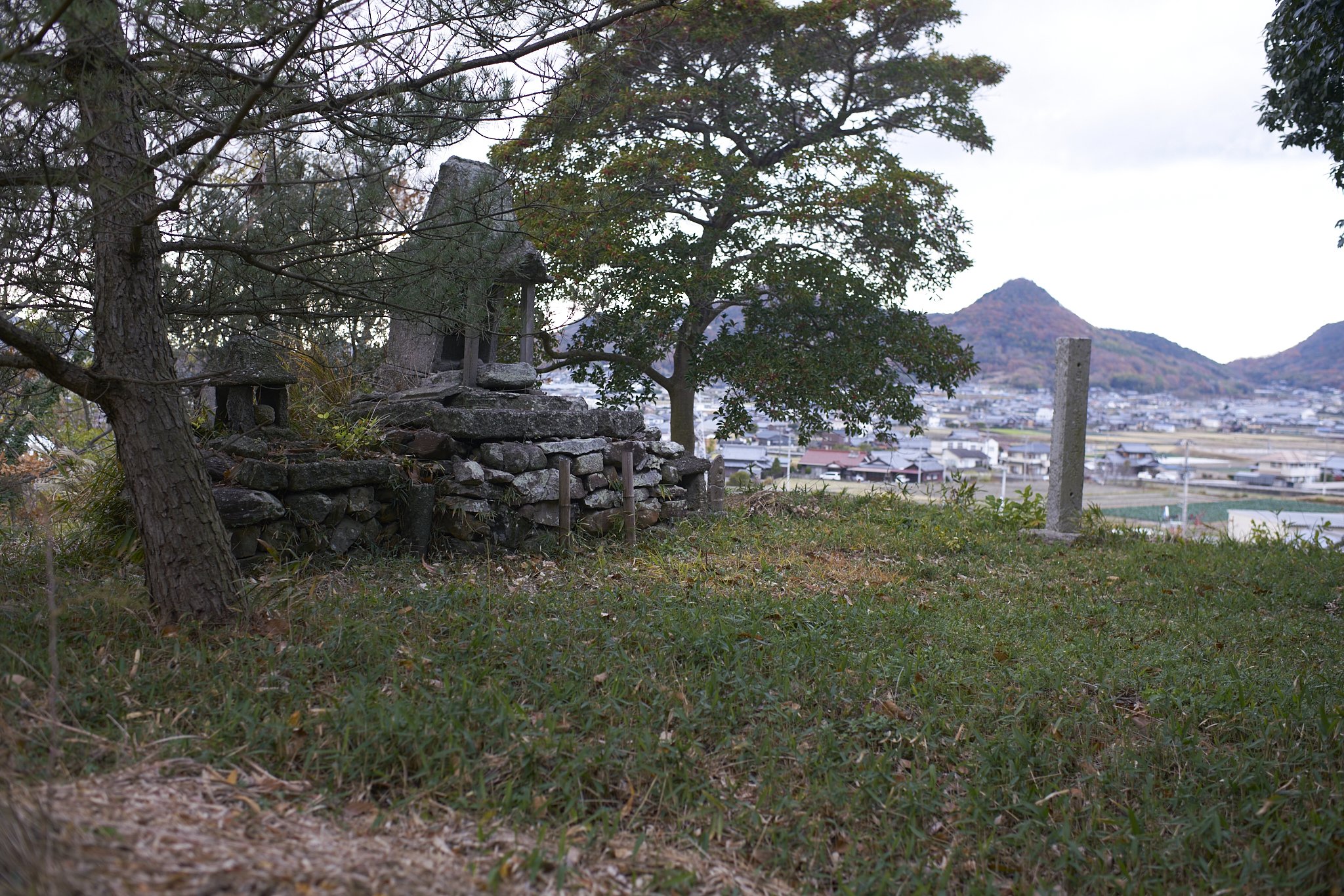 雑感