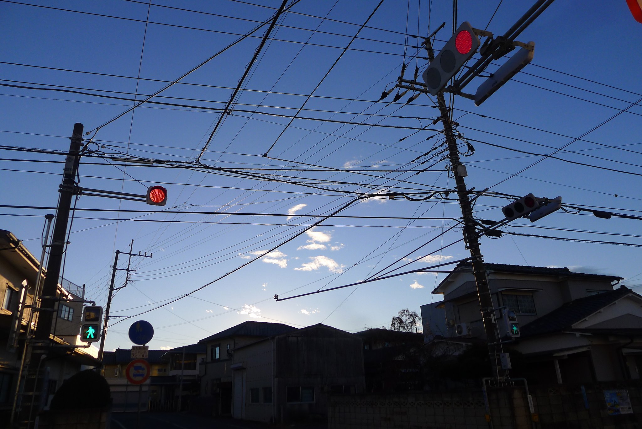 いつもの通り道