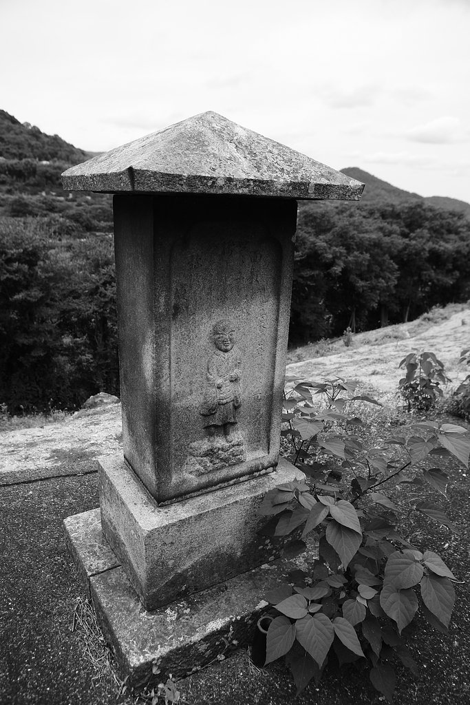 雑