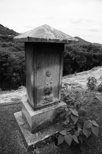 雑