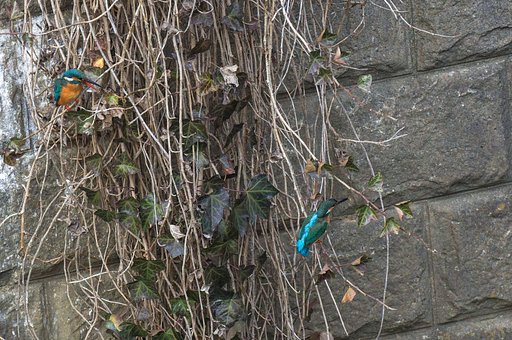 夫婦喧嘩？