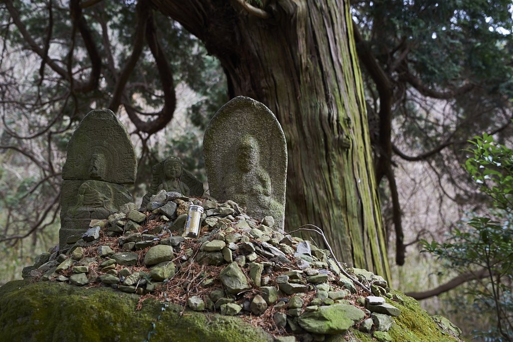 善通寺