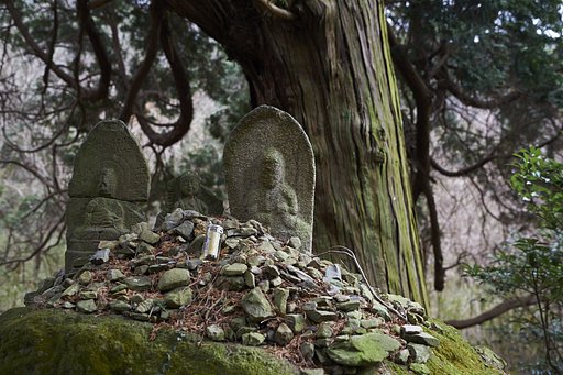 善通寺