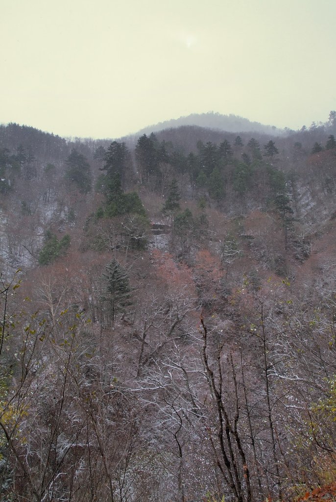 雪景色