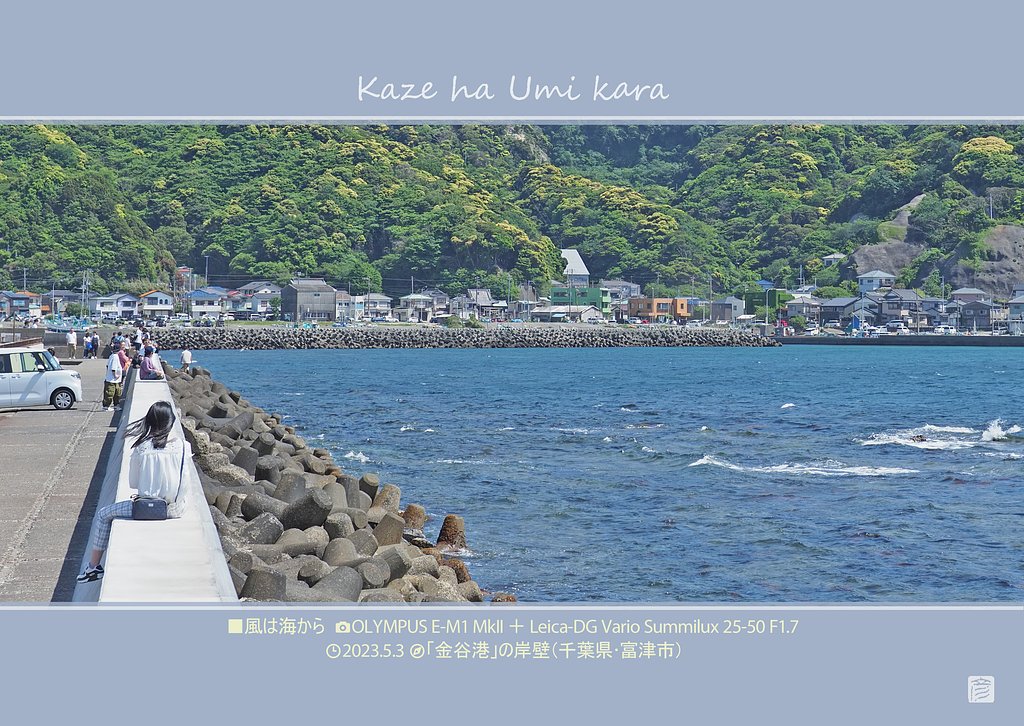 風は海から