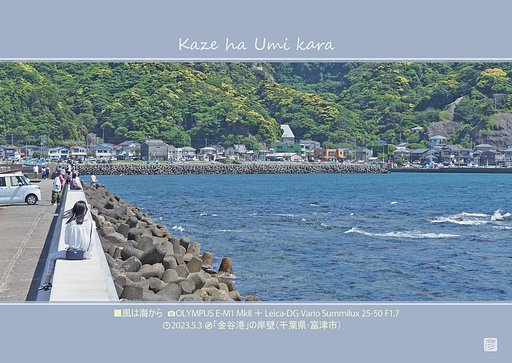 風は海から