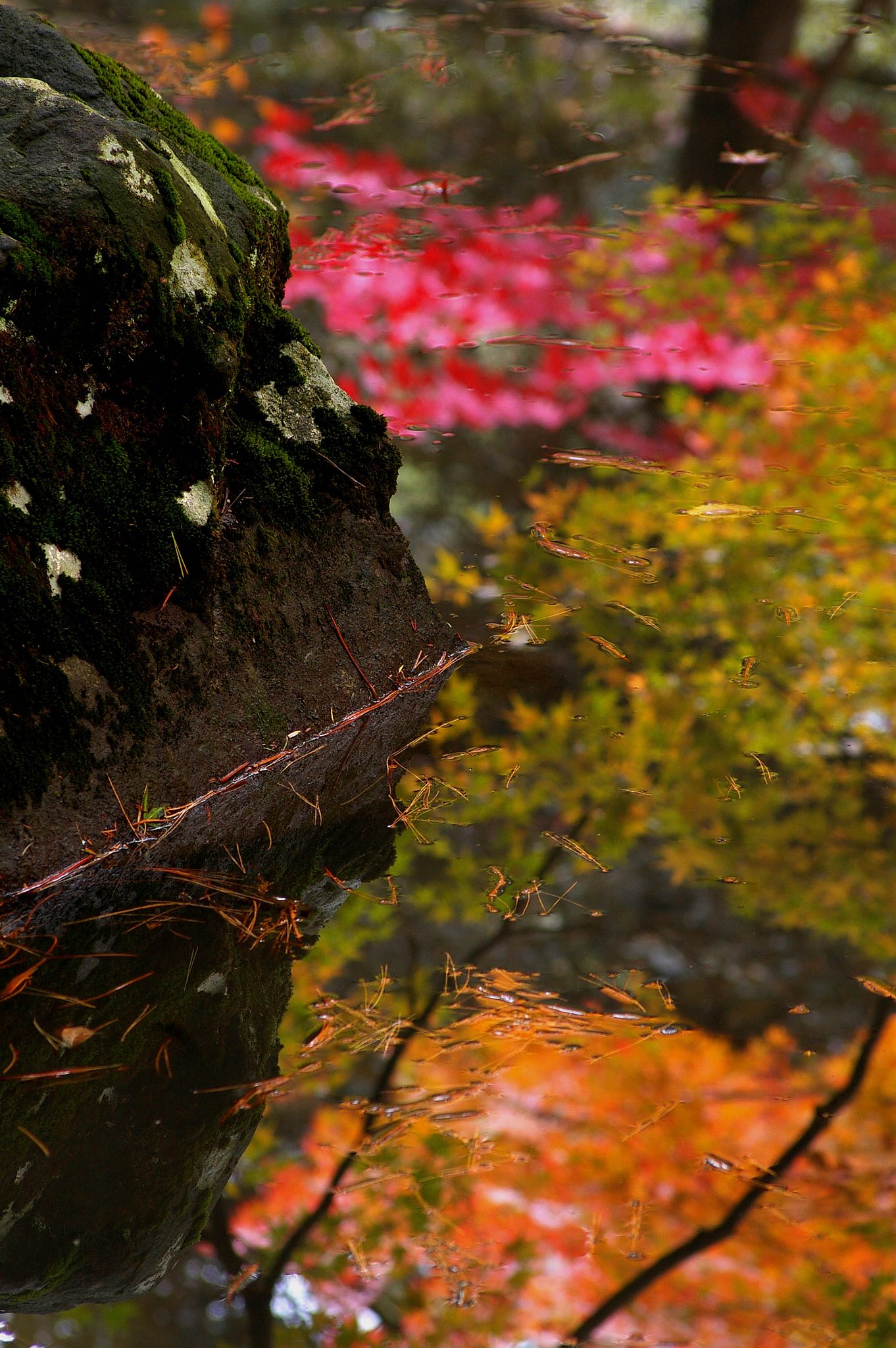 秋水