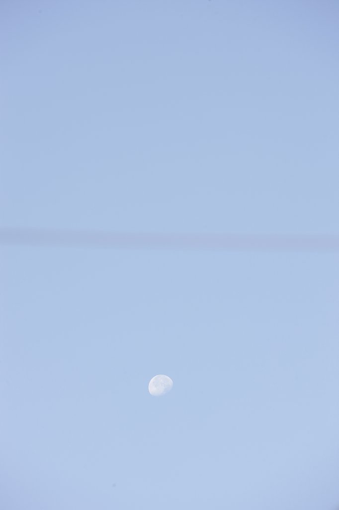 今朝の月