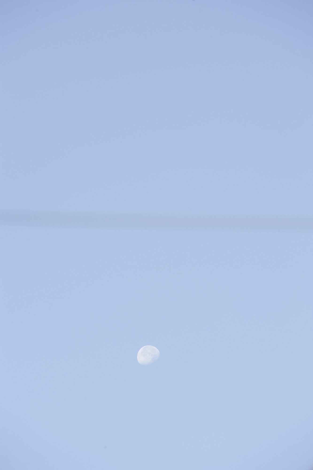今朝の月