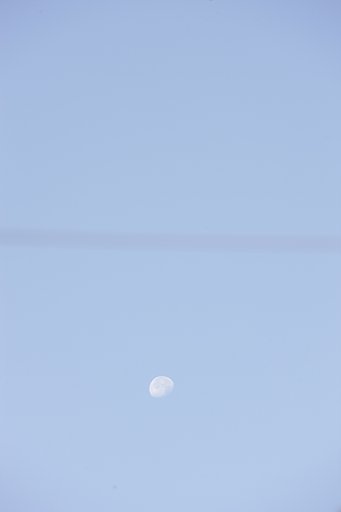 今朝の月