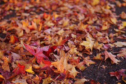 fall