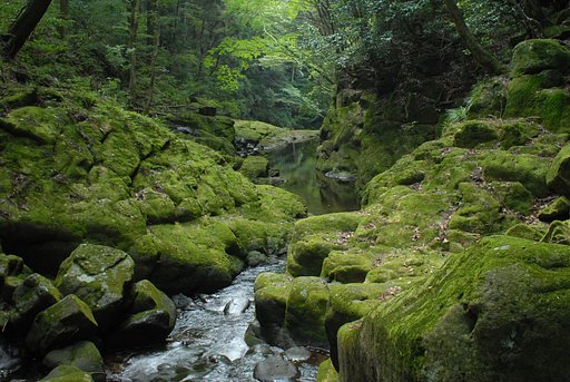 静寂（赤目にて）