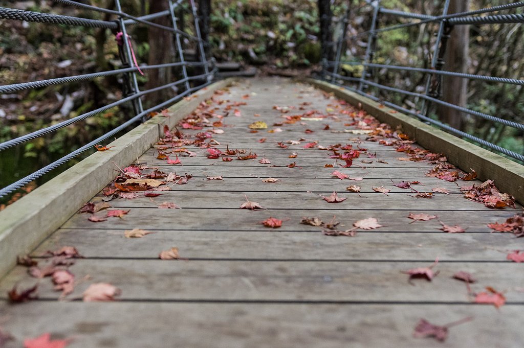 箸休め