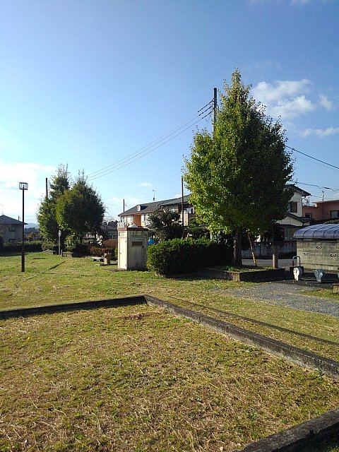 イチョウの木もある小さな公園