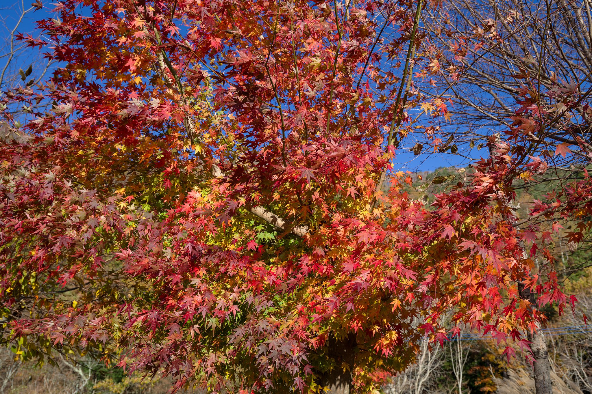 車を止めて
