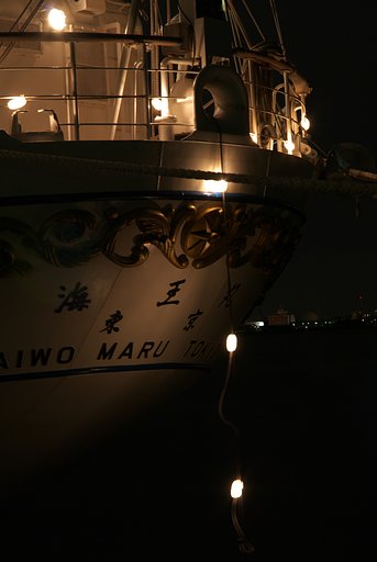 海王丸