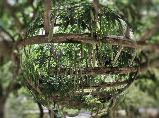 7月30日の写真
