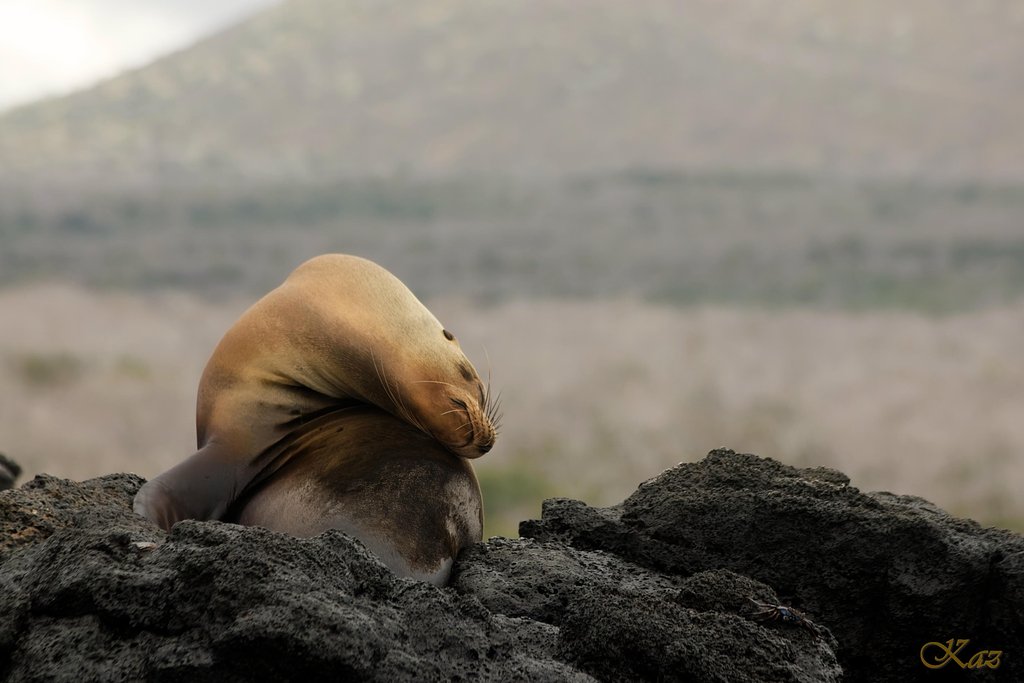 Galápagos Islands 01