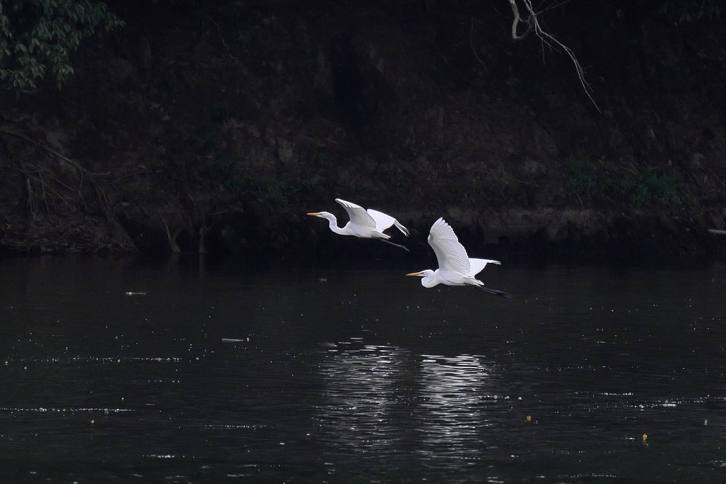 湖の対岸に お馴染みの・・