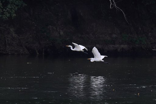湖の対岸に お馴染みの・・