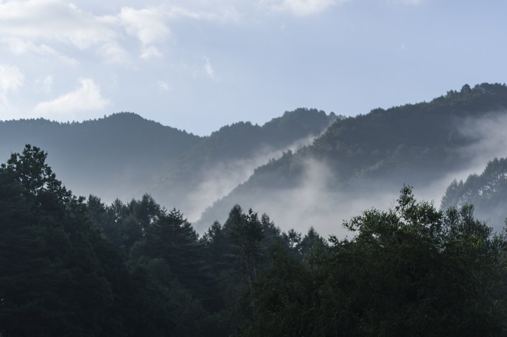 朝霧沸く