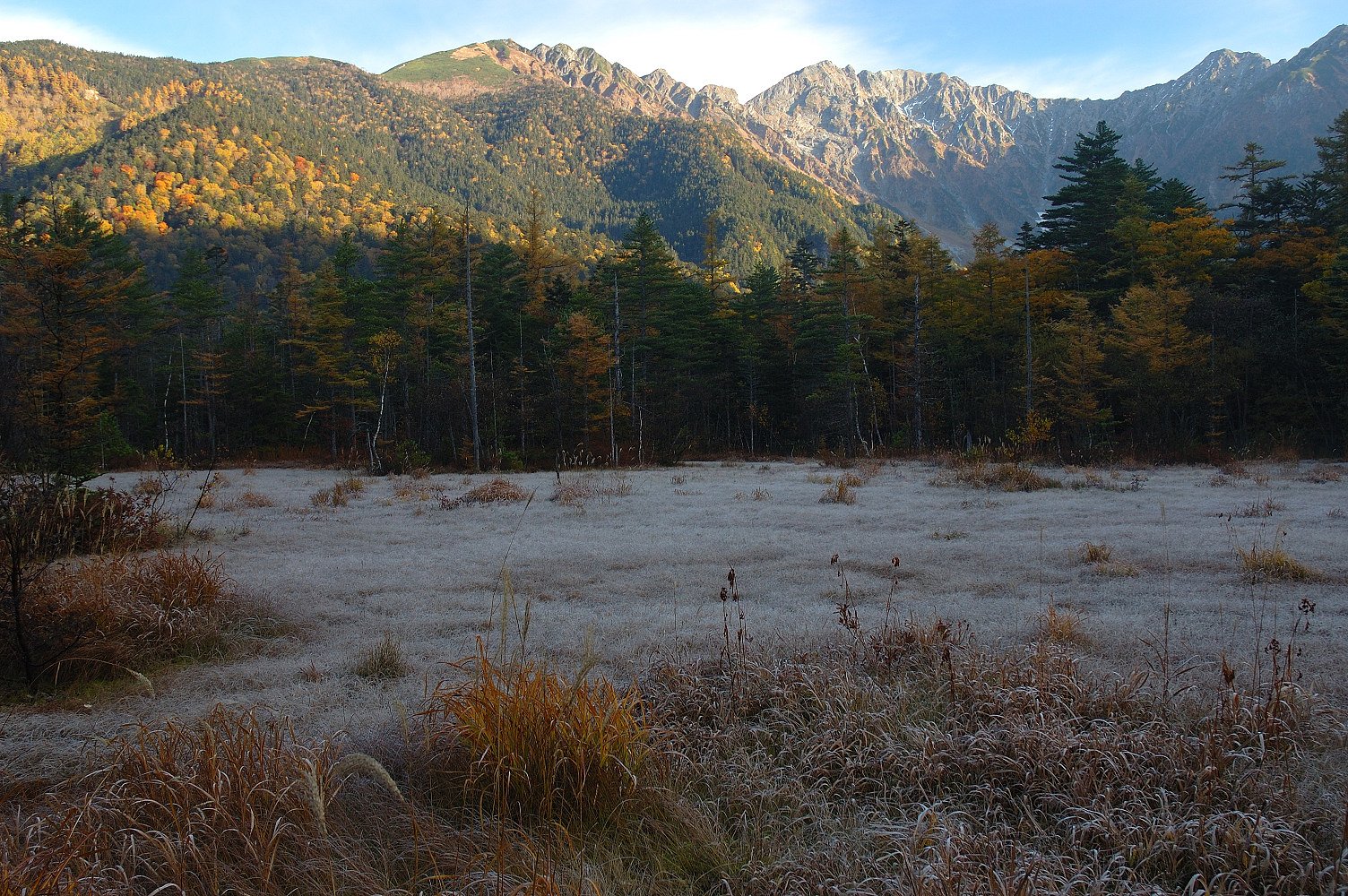 田代湿原