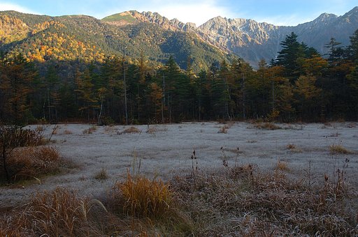 田代湿原